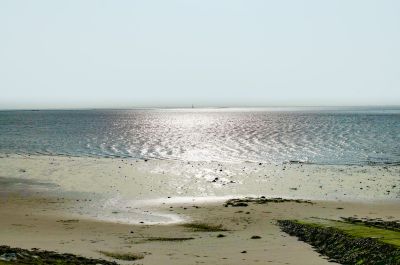 Wattenmeer Wilhelmshaven